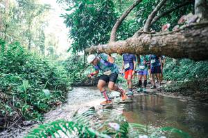 BIB: 
                            <button type="button" onclick="openModal(25460102)" class="btn btn-primary btn-sm float-right btn-popup" data-toggle="modal" data-target=".modal-high-quality">
                        <i class="fas fa-shopping-cart"></i> Add to Cart
                    </button>
                                            <button type="button" onclick="isThisMe(25460102, true)" class="btn btn-success btn-sm float-right btn-popup btn-isme hidden" data-toggle="tooltip" data-placement="bottom" title="นี่คือรูปของคุณใช่ไหม คลิกที่นี่เพื่อเอาเข้าอัลบั้ม">
                        <i class="fas fa-plus"></i> Add to album
                    </button>
                    <button type="button" onclick="isThisMe(25460102, false)" class="btn btn-warning btn-sm float-right btn-popup btn-isnotme hidden">
                        <i class="fas fa-ban"></i> Remove from album
                    </button>